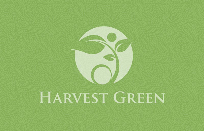 Harvest Green - Lennar Floor Plan Travertine II 3735